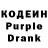 Кодеиновый сироп Lean Purple Drank terminator 844